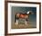 Stanhopes Diddicoy-Susan Crawford-Framed Collectable Print