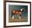 Stanhopes Diddicoy-Susan Crawford-Framed Collectable Print