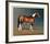 Stanhopes Diddicoy-Susan Crawford-Framed Collectable Print