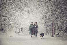 Snow storm charm-stanislav hricko-Photographic Print