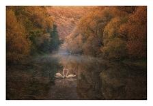 Small Autumn Fairy-Stanislav Hricko-Photographic Print