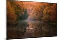 Photographic Print