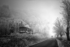 Small Autumn Fairy-Stanislav Hricko-Photographic Print