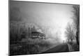 Photographic Print
