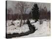 Stretched Canvas Print