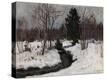 Stretched Canvas Print