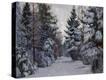 Stretched Canvas Print