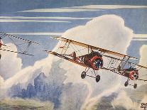 Se5S Pursue an Albatross-Stanley Bradshaw-Framed Stretched Canvas