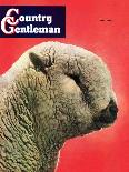 "Lamb," Country Gentleman Cover, May 1, 1948-Stanley Johnson-Mounted Giclee Print