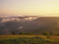 View of Mwaluganje Elephant Sanctuary, Shimbas, Kenya, East Africa, Africa-Stanley Storm-Photographic Print