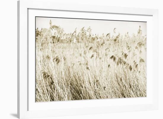 Stanpit Rushes-Bernard Webb-Framed Giclee Print