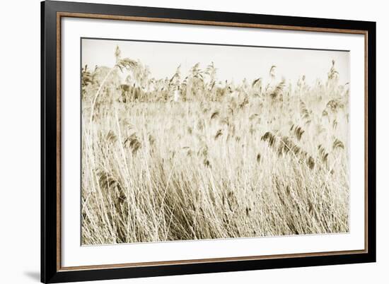 Stanpit Rushes-Bernard Webb-Framed Giclee Print