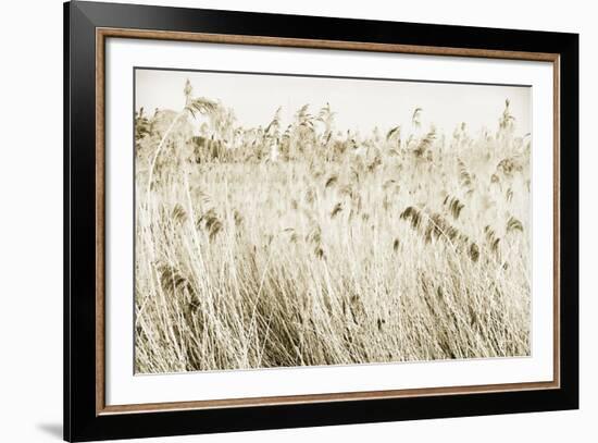 Stanpit Rushes-Bernard Webb-Framed Giclee Print