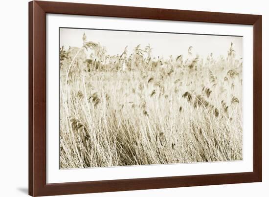 Stanpit Rushes-Bernard Webb-Framed Giclee Print