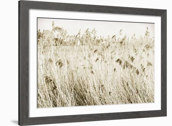 Stanpit Rushes-Bernard Webb-Framed Giclee Print