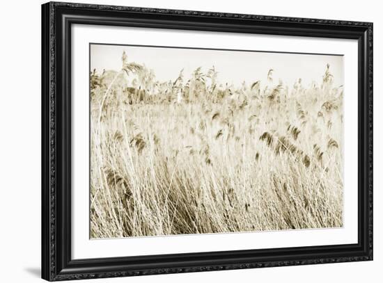 Stanpit Rushes-Bernard Webb-Framed Giclee Print