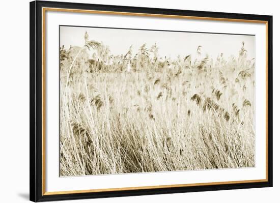 Stanpit Rushes-Bernard Webb-Framed Giclee Print