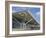 Stansted Airport Terminal, Stansted, Essex, England, United Kingdom-Fraser Hall-Framed Photographic Print