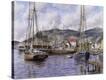 Stretched Canvas Print