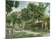 Premium Giclee Print