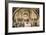 Stanza Della Segnatura: the School of Athens-Raphael-Framed Art Print