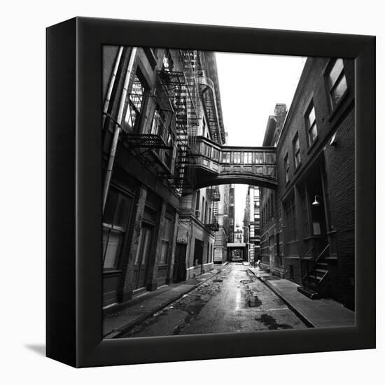 Staple Street-Evan Morris Cohen-Framed Premier Image Canvas