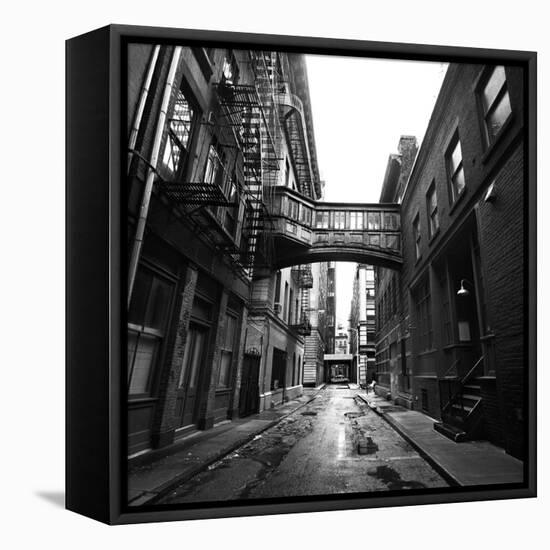 Staple Street-Evan Morris Cohen-Framed Premier Image Canvas