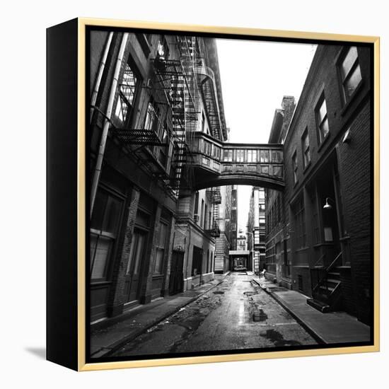 Staple Street-Evan Morris Cohen-Framed Premier Image Canvas