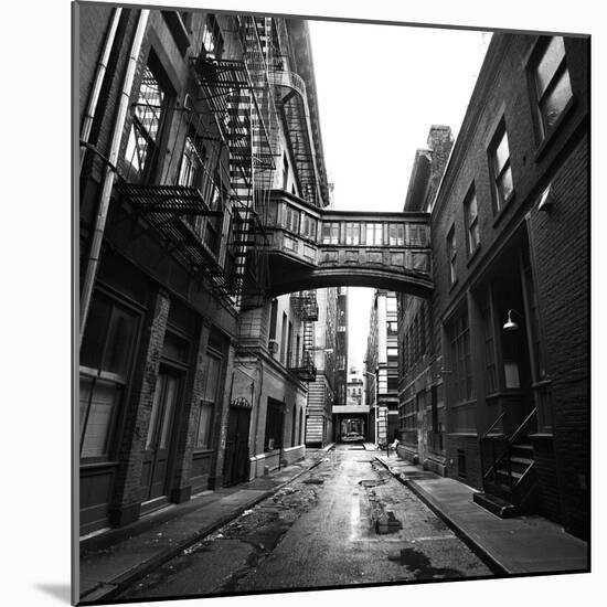 Staple Street-Evan Morris Cohen-Mounted Photographic Print