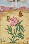 Mughal Miniature Painting Depicting a Peony with Birds of Paradise and Butterflies-Stapleton Collection-Giclee Print