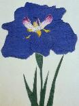 O-Sho-Kun Book of a Blue Iris-Stapleton Collection-Giclee Print