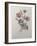 Star Anemone-Pierre-Joseph Redoute-Framed Art Print