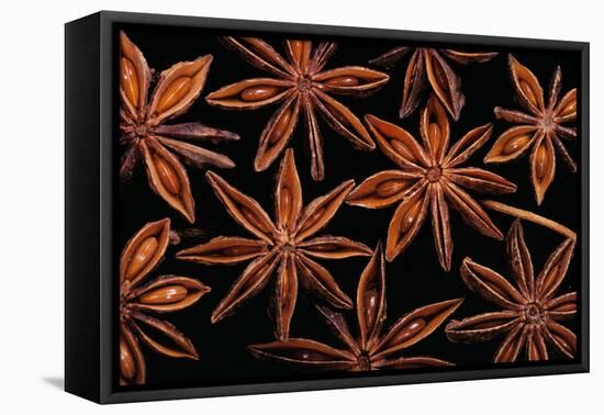 Star Anise Close-Up of Seeds-null-Framed Premier Image Canvas