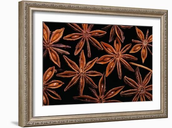 Star Anise Close-Up of Seeds-null-Framed Photographic Print