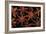 Star Anise Close-Up of Seeds-null-Framed Photographic Print