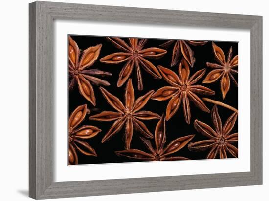 Star Anise Close-Up of Seeds-null-Framed Photographic Print