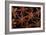 Star Anise Close-Up of Seeds-null-Framed Photographic Print