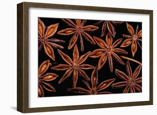 Star Anise Close-Up of Seeds-null-Framed Photographic Print