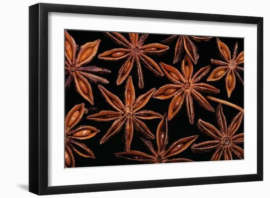 Star Anise Close-Up of Seeds-null-Framed Photographic Print