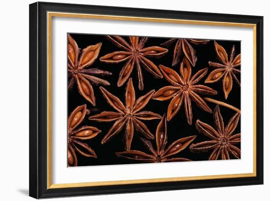 Star Anise Close-Up of Seeds-null-Framed Photographic Print