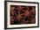 Star Anise Close-Up of Seeds-null-Framed Photographic Print