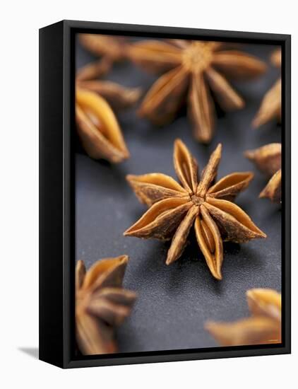 Star Anise-Winfried Heinze-Framed Premier Image Canvas