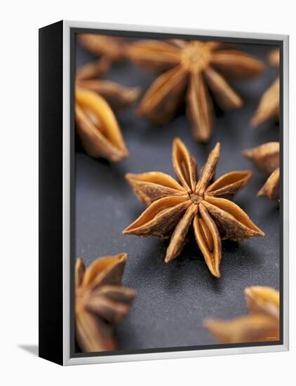 Star Anise-Winfried Heinze-Framed Premier Image Canvas