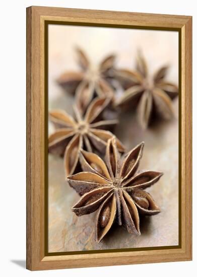 Star Anise-Neil Overy-Framed Premier Image Canvas