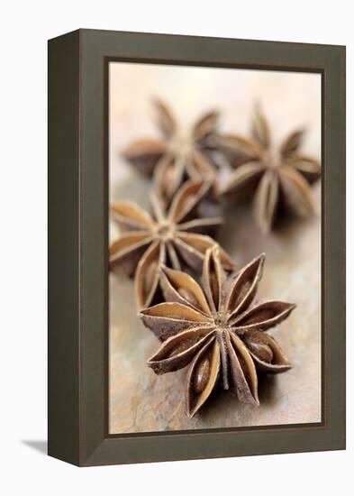 Star Anise-Neil Overy-Framed Premier Image Canvas