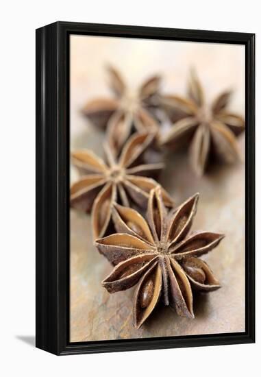 Star Anise-Neil Overy-Framed Premier Image Canvas