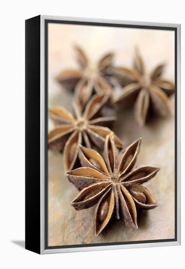 Star Anise-Neil Overy-Framed Premier Image Canvas