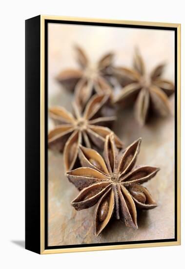 Star Anise-Neil Overy-Framed Premier Image Canvas