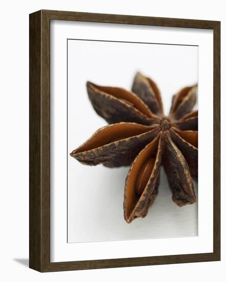 Star Anise-Herbert Lehmann-Framed Photographic Print