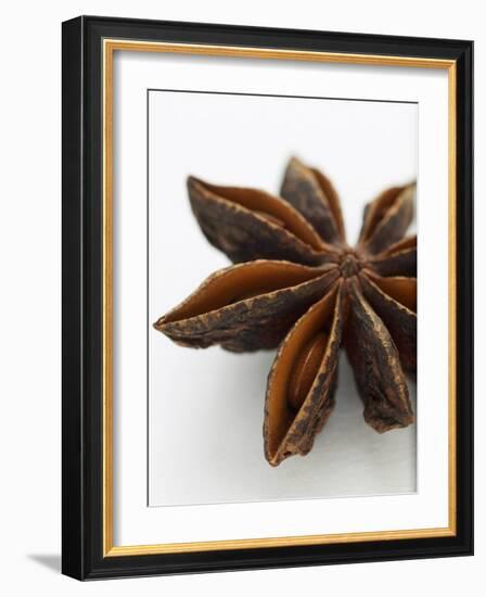 Star Anise-Herbert Lehmann-Framed Photographic Print